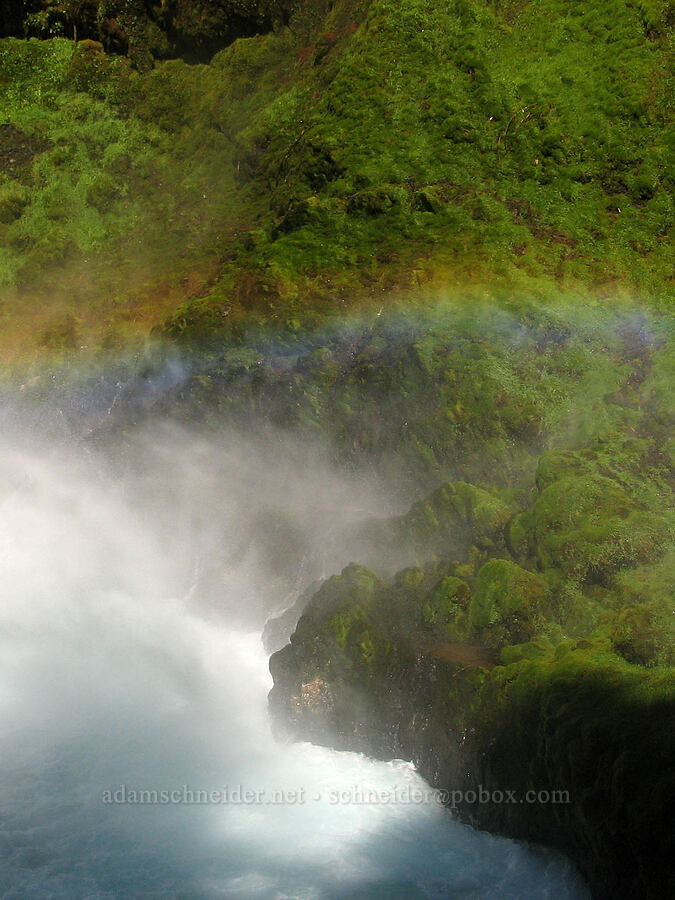 rainbow below Sahalie Falls [McKenzie River Trail, Willamette National Forest, Linn County, Oregon]
