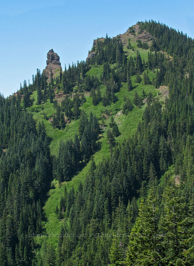 Iron Mountain [Cone Peak Trail, Willamette National Forest, Linn County, Oregon]