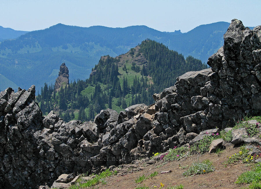 Iron Mountain through a basaltic dike [summit of Cone Peak, Willamette National Forest, Linn County, Oregon]