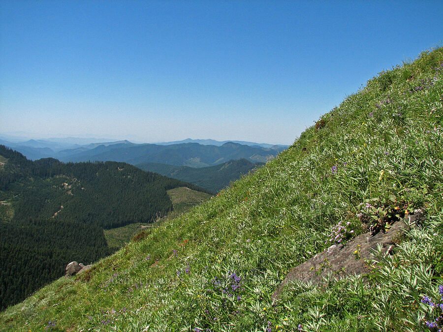 edge of Cone Peak [Cone Peak, Willamette National Forest, Linn County, Oregon]