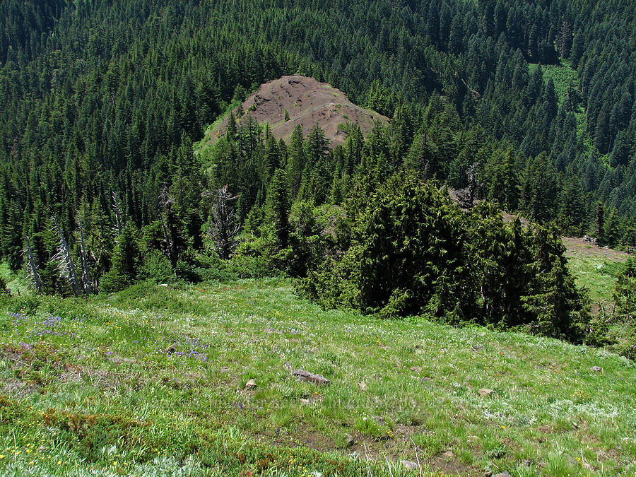 shoulder of Cone Peak from above [Cone Peak, Willamette National Forest, Linn County, Oregon]