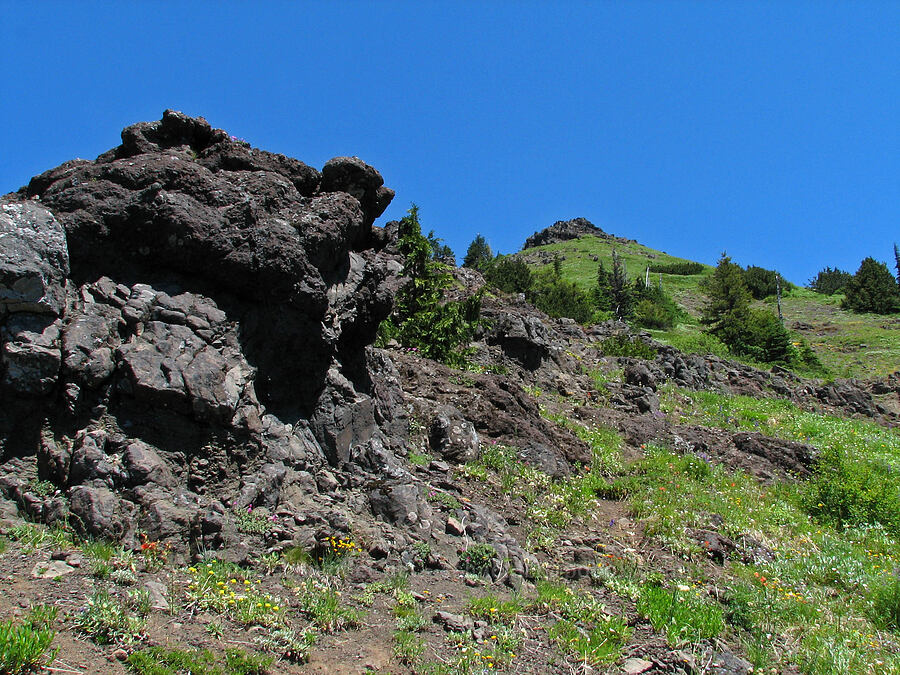 Looking back up at the summit [Cone Peak, Willamette National Forest, Linn County, Oregon]
