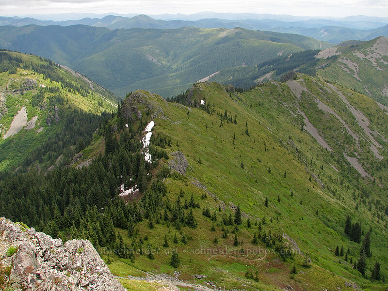 eastern ridge toward Bluff Mountain [Silver Star Mountain summit, Gifford Pinchot National Forest, Skamania County, Washington]