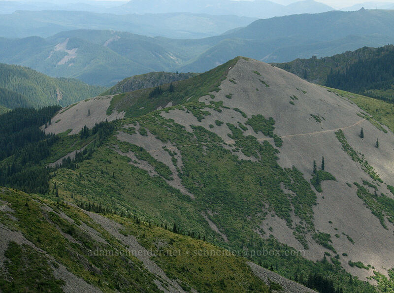 Little Baldy [Silver Star Mountain summit, Gifford Pinchot National Forest, Skamania County, Washington]