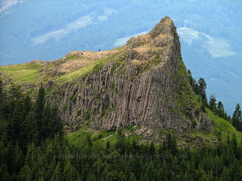 Sturgeon Rock [Silver Star Mountain summit, Gifford Pinchot National Forest, Skamania County, Washington]