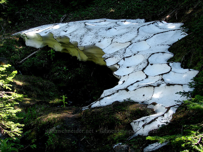 patterned snow shelf [Pacific Crest Trail, Mt. Hood Wilderness, Oregon]