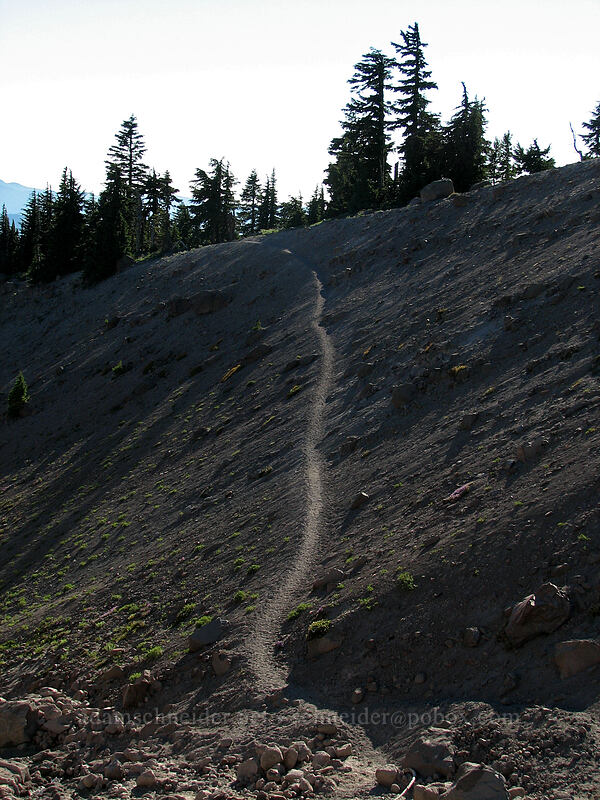 late afternoon trail [Little Zigzag Canyon, Mt. Hood National Forest, Clackamas County, Oregon]