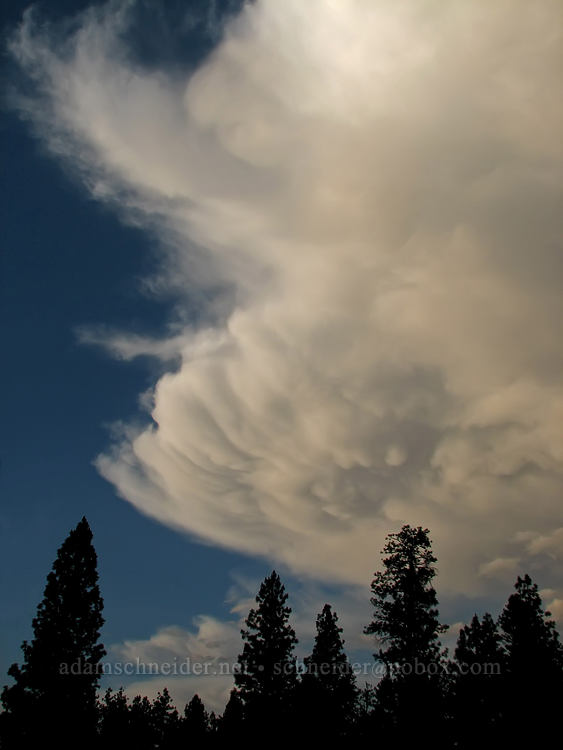 storm clouds [Tollgate, Sisters, Deschutes County, Oregon]