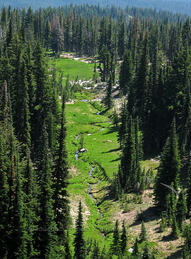 a meandering stream from above [Bird Creek Meadows, Yakama Reservation, Washington]