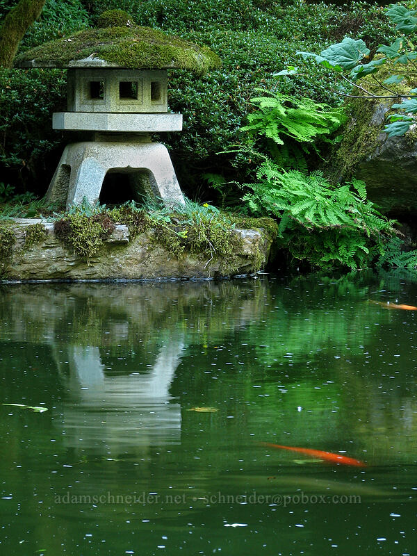 pond [Portland Japanese Garden, Portland, Multnomah County, Oregon]