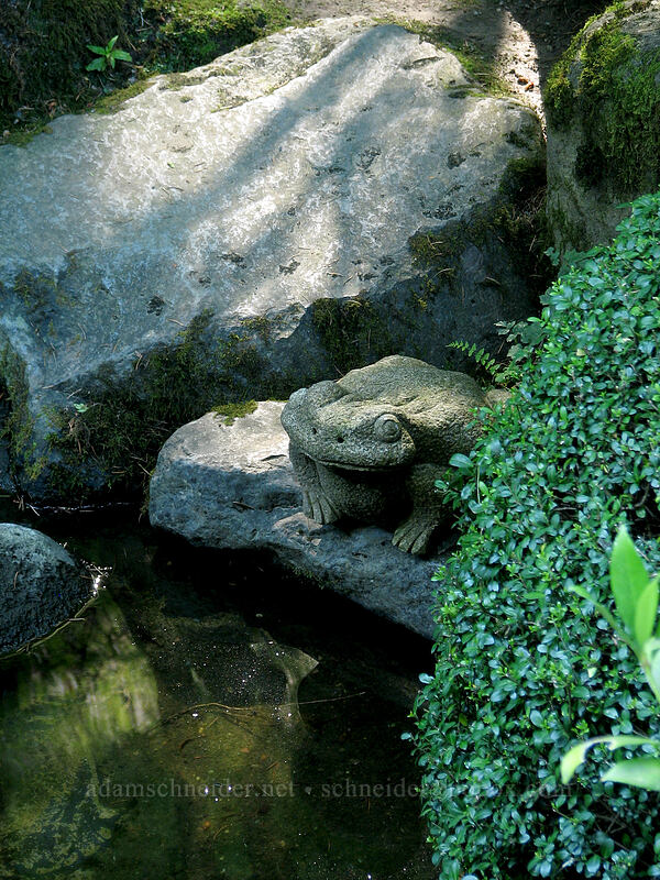 stone frog [Portland Japanese Garden, Portland, Multnomah County, Oregon]