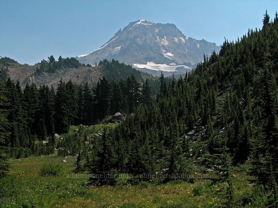 Mount Hood [Cairn Basin, Mt. Hood Wilderness, Hood River County, Oregon]