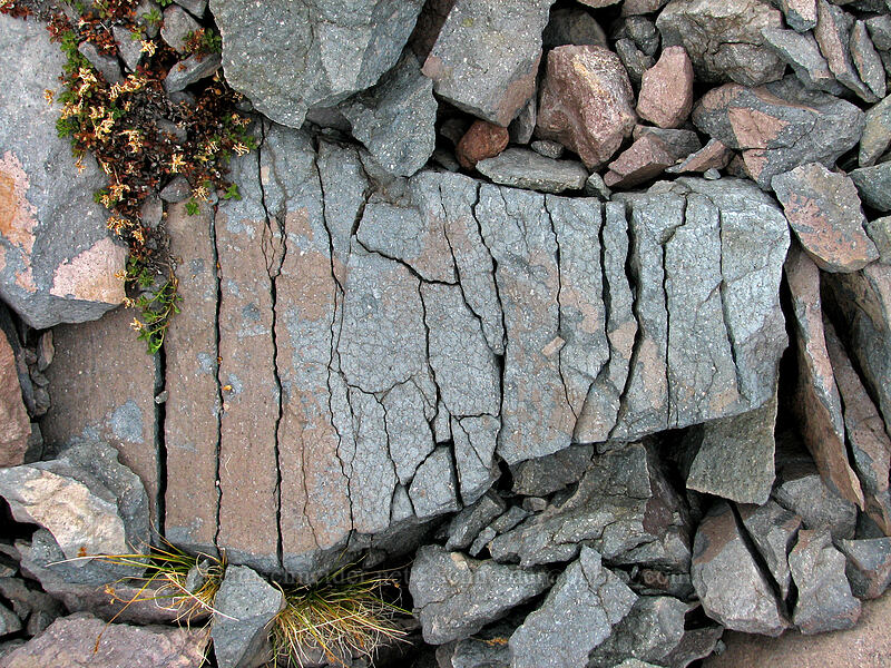 fractured rock [above Langille Crags, Mt. Hood Wilderness, Hood River County, Oregon]