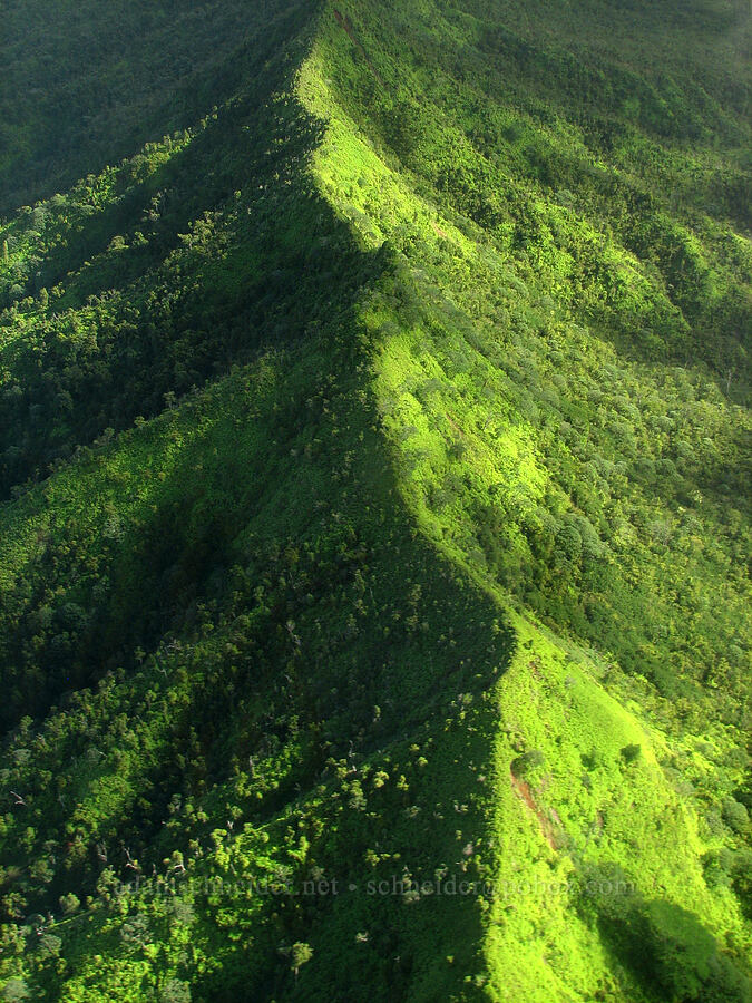 ridge below Haleone [airplane tour, Kaua'i, Hawaii]