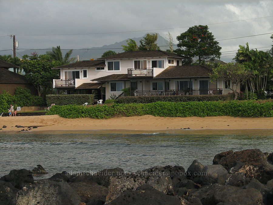 Hale 'Ohe (Kahili in background) [Baby Beach, Po'ipu, Kaua'i, Hawaii]