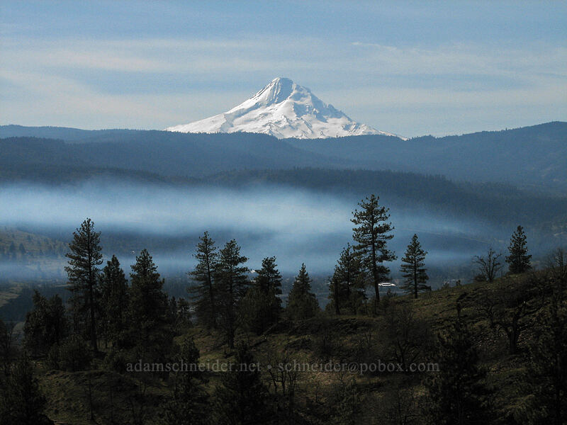 Mt. Hood & smoke from bonfires [Catherine Creek, Gifford Pinchot National Forest, Klickitat County, Washington]