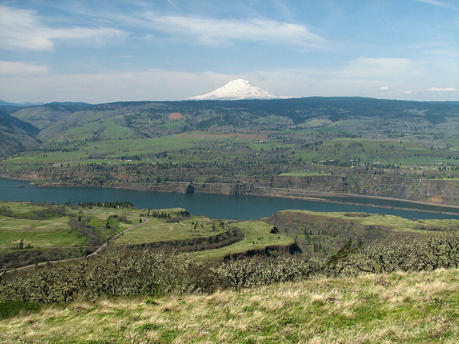 Mount Adams & the Columbia River Gorge [Tom McCall Preserve, Rowena, Wasco County, Oregon]