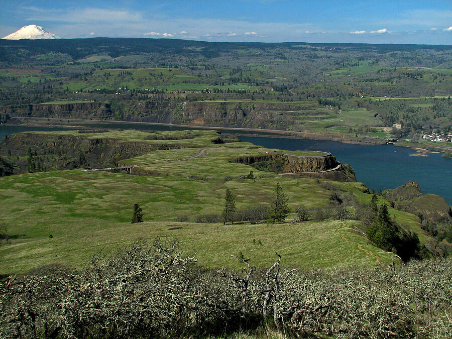 Rowena Plateau [Tom McCall Preserve, Rowena, Wasco County, Oregon]