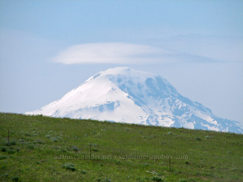 Mount Adams & lenticular clouds [Dalles Mountain Road, Klickitat County, Washington]