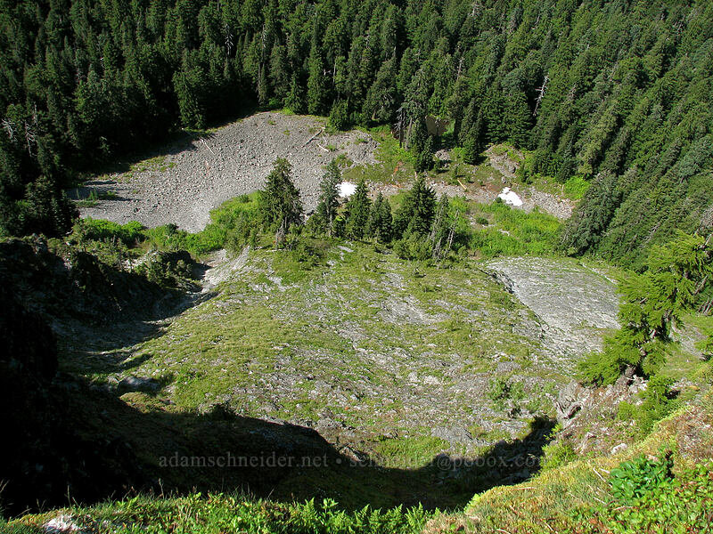 view into Larch Mountain's crater [Sherrard Point, Multnomah County, Oregon]
