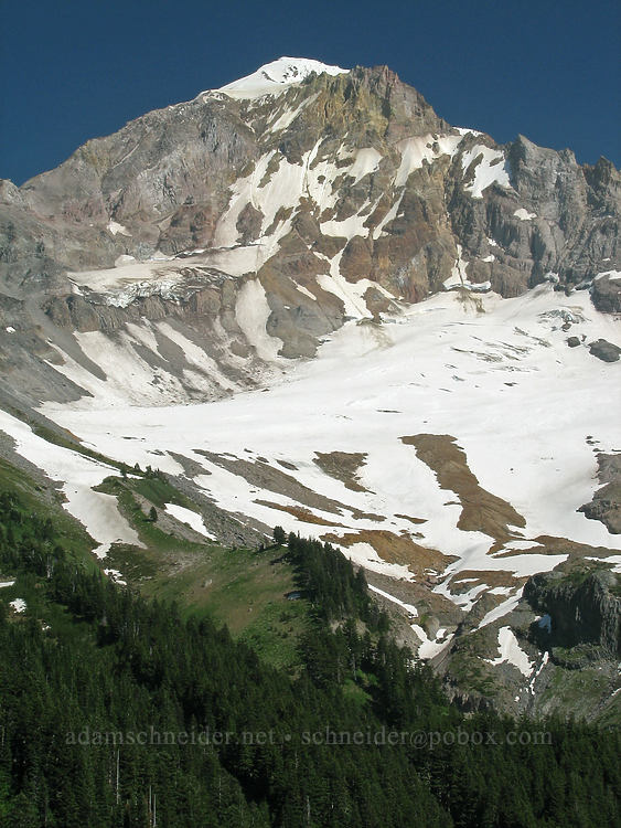 Mount Hood & Sandy Glacier [Bald Mountain Ridge, Mt. Hood Wilderness, Hood River County, Oregon]