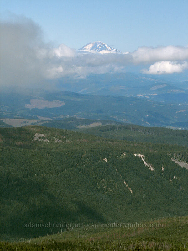 Mount Adams [Timberline Trail, Mt. Hood Wilderness, Hood River County, Oregon]