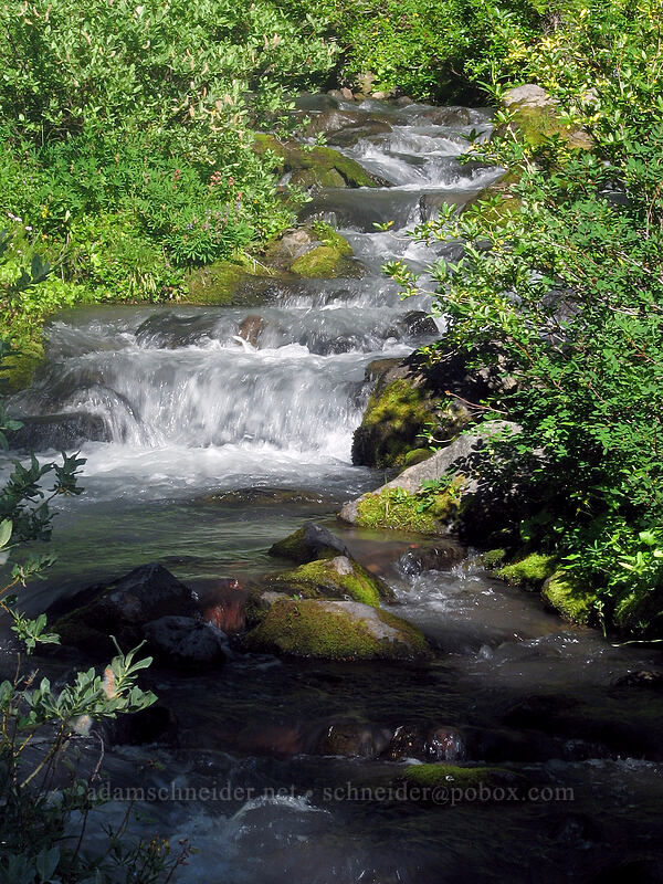 Whitewater Creek [Whitewater Trail, Mt. Jefferson Wilderness, Marion County, Oregon]