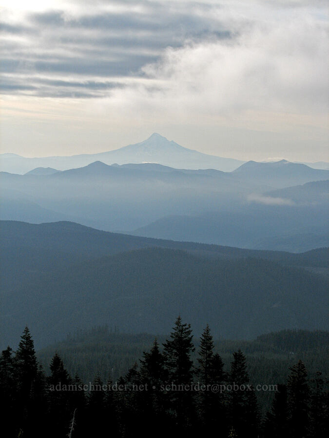 Mount Hood [Monitor Ridge, Mt. St. Helens National Volcanic Monument, Skamania County, Washington]