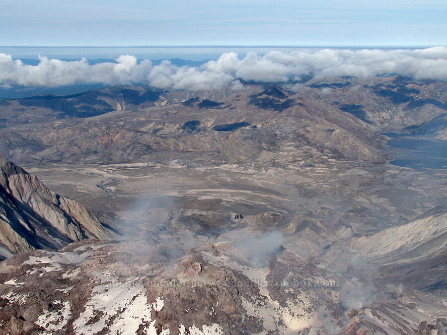 the blast zone [Mt. St. Helens crater rim, Mt. St. Helens National Volcanic Monument, Skamania County, Washington]