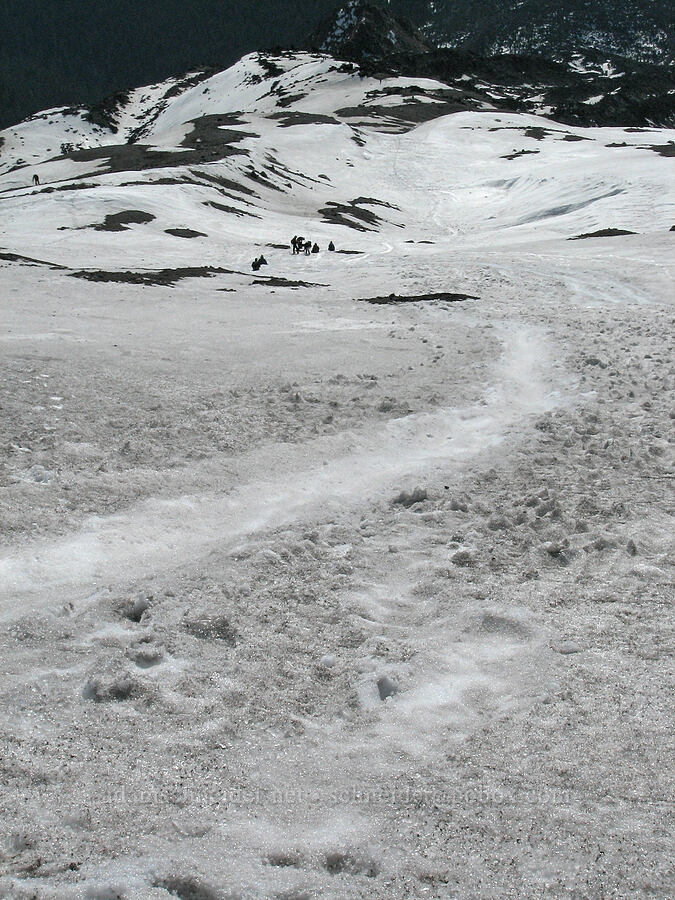 glissade tracks [Mt. St. Helens crater rim, Mt. St. Helens National Volcanic Monument, Skamania County, Washington]