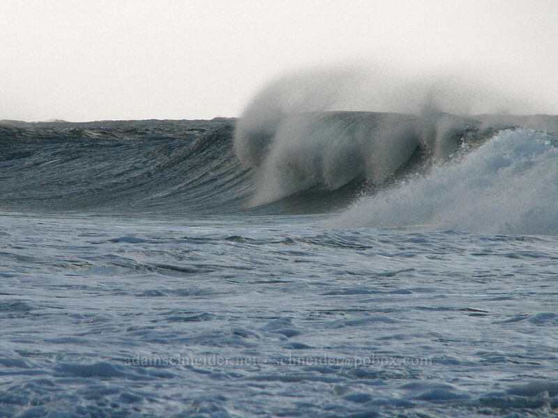 big waves [Kauapea Beach, Kilauea, Kaua'i, Hawaii]