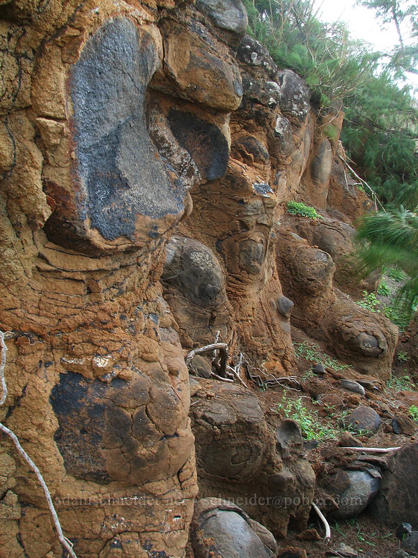 weathered pillow basalt? [Larsen's Beach, Kilauea, Kaua'i, Hawaii]