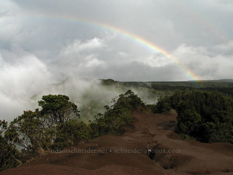 rainbow over Pihea Ridge [Pu'u o Kila Lookout, Koke'e State Park, Kaua'i, Hawaii]