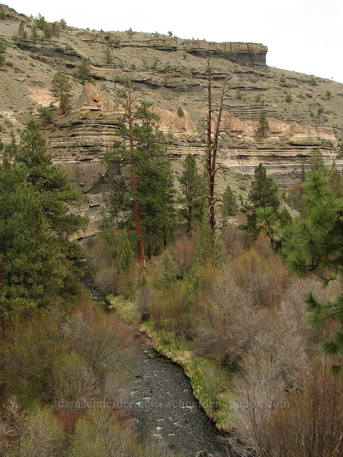 Whychus Creek Canyon [Alder Springs Trail, Jefferson County, Oregon]