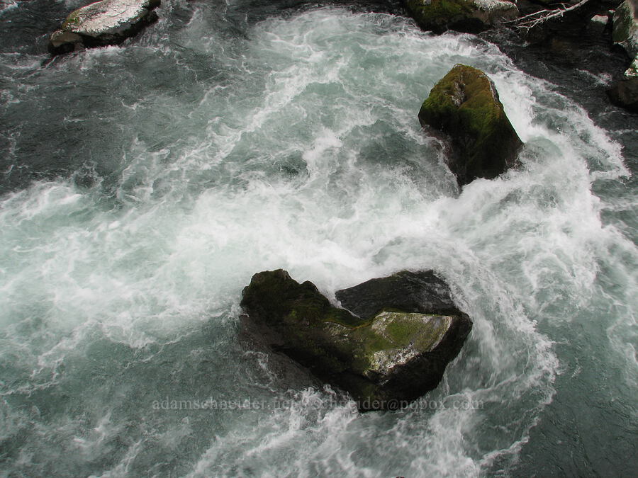 whitewater in the Deschutes River [Alder Springs Trail, Jefferson County, Oregon]