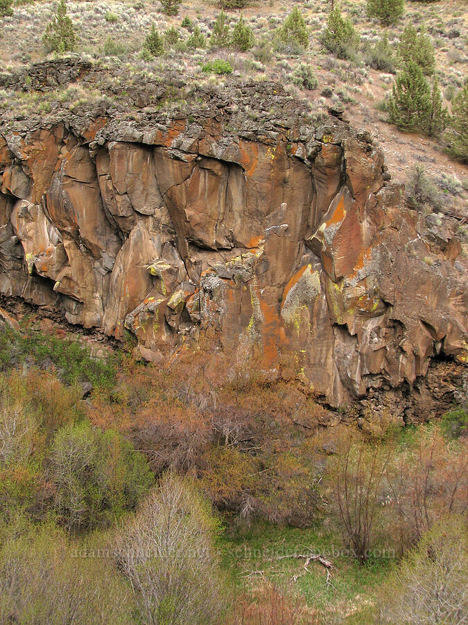 lichen-covered cliffs [Alder Springs Trail, Jefferson County, Oregon]