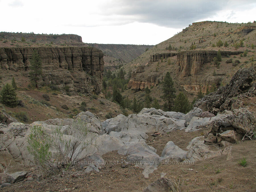 dry falls [Alder Springs Trail, Jefferson County, Oregon]