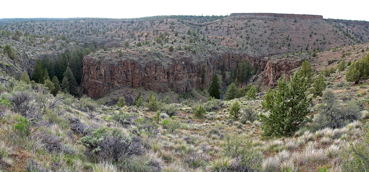Whychus Creek Canyon panorama [Alder Springs Trail, Jefferson County, Oregon]