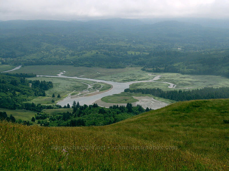 Salmon River estuary [Cascade Head Trail, Tillamook County, Oregon]