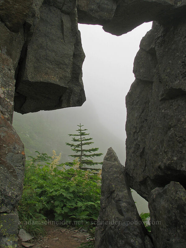 rock arch [Ed's Trail, Silver Star Mountain, Gifford Pinchot Nat'l Forest, Skamania, Washington]