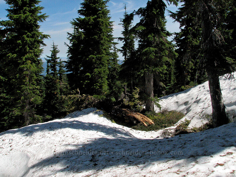 several feet of snow on the trail [Vista Ridge Trail, Mt. Hood Wilderness, Hood River, Oregon]