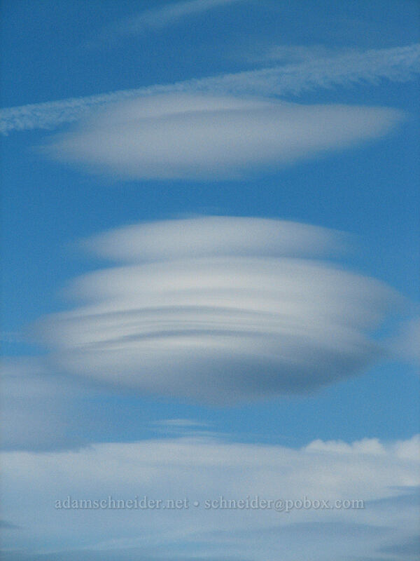 lenticular clouds [north end of Barrett Spur, Mt. Hood Wilderness, Oregon, United States]