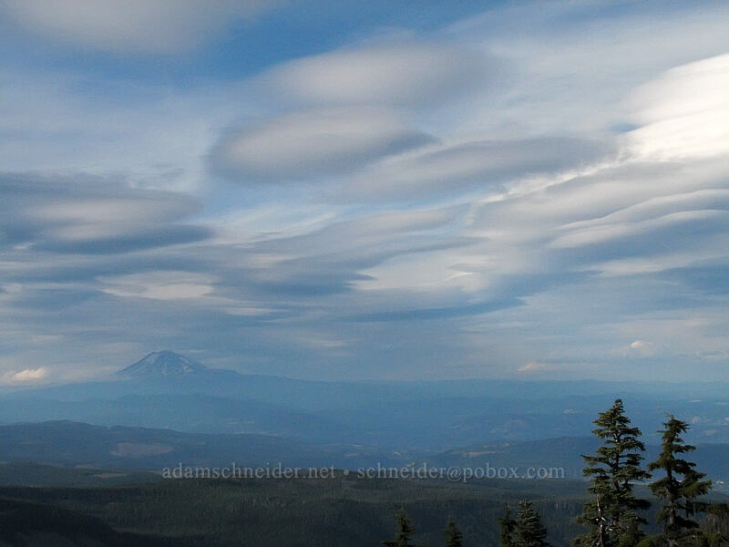 Mount Adams & lenticular clouds [Timberline Trail, Mt. Hood Wilderness, Hood River, Oregon]