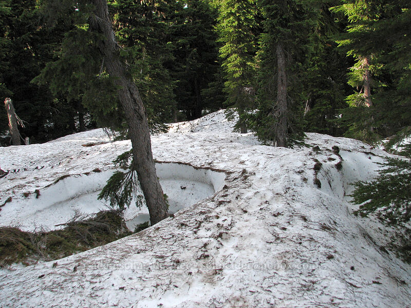 deep snow on the trail [Vista Ridge Trail, Mt. Hood Wilderness, Hood River, Oregon]