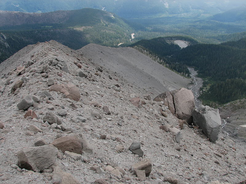 almost the entire ridge [Newton-Clark Ridge, Mt. Hood National Forest, Hood River, Oregon]