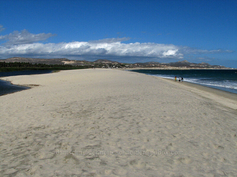 narrowest strip of the beach [Estero San Jose, San Jose del Cabo, Los Cabos, Baja California Sur, Mexico]