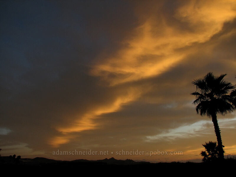clouds at dawn [El Presidente Hotel, San Jose del Cabo, Los Cabos, Baja California Sur, Mexico]