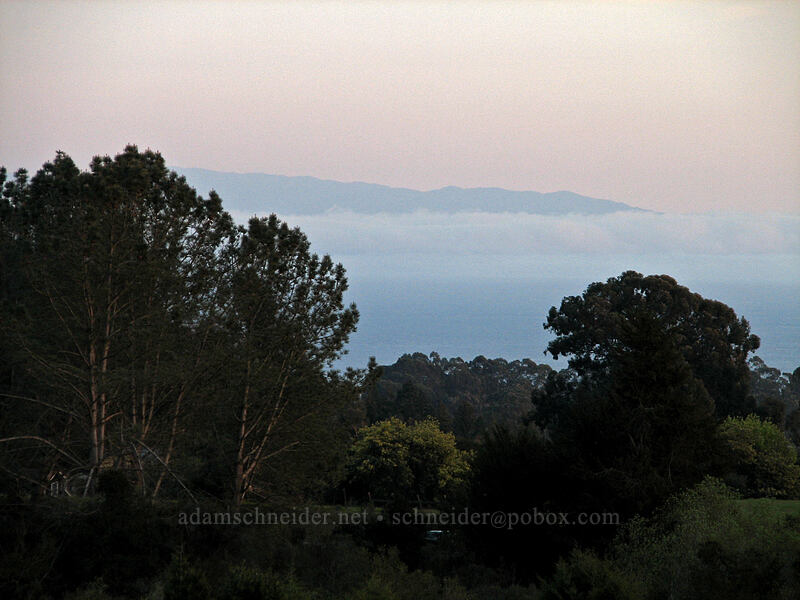 sunset [UCSC, south of Oakes College, Santa Cruz, California]