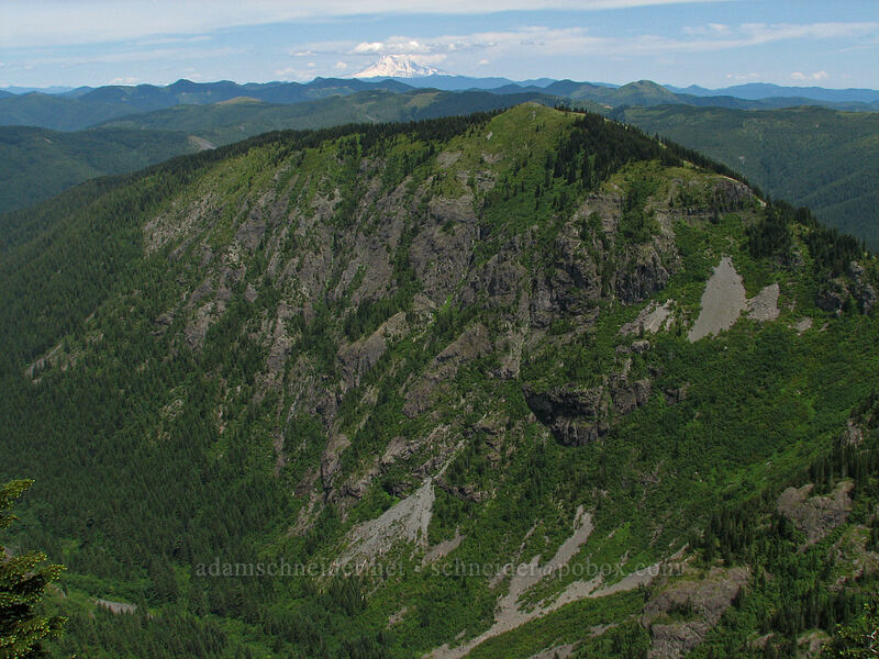 Mt. Adams and the east side of Star Creek Canyon [Ed's Trail, Silver Star Mountain, Gifford Pinchot Nat'l Forest, Skamania County, Washington]