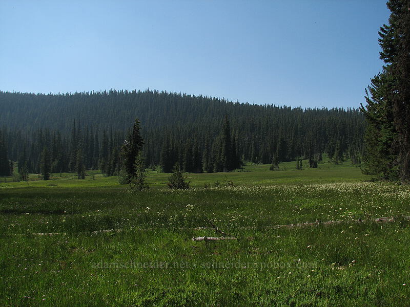 Elk Meadows [Elk Meadows, Mt. Hood Wilderness, Hood River County, Oregon]